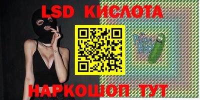 прущие крисы Можга