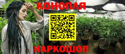 прущие крисы Можга