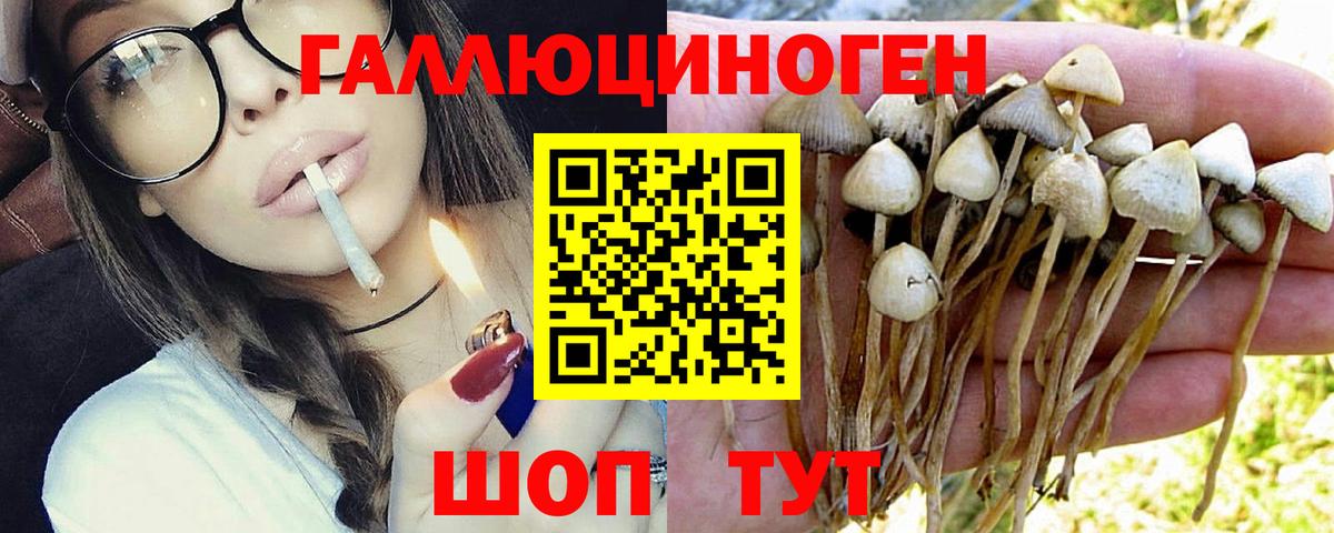 как найти наркотики  Галлюциногенные грибы Psilocybine cubensis  Вход с VPN  Галлюциногенные грибы Psilocybine cubensis  Фурманов 